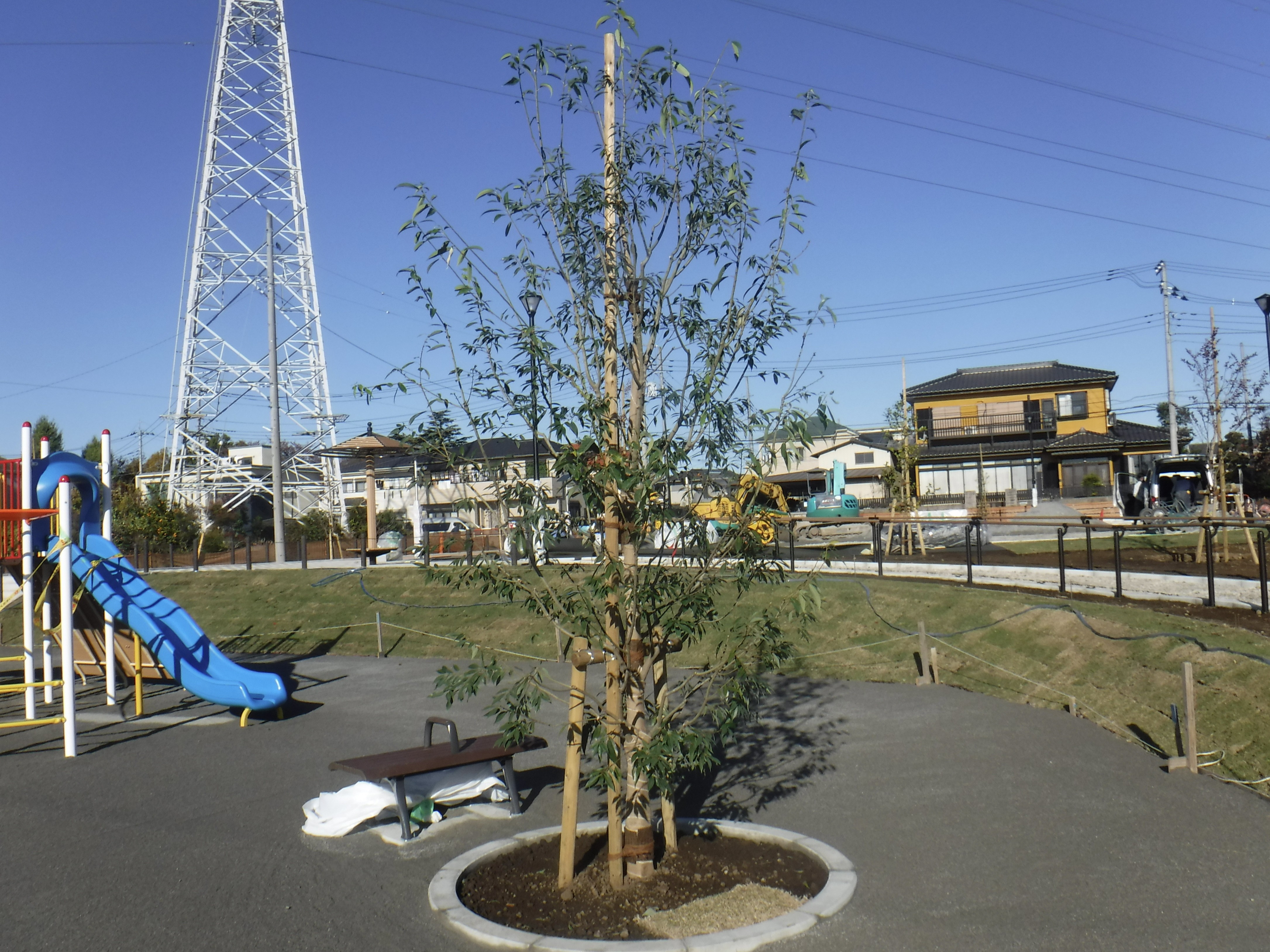 公園植栽工事 埼玉県さいたま市