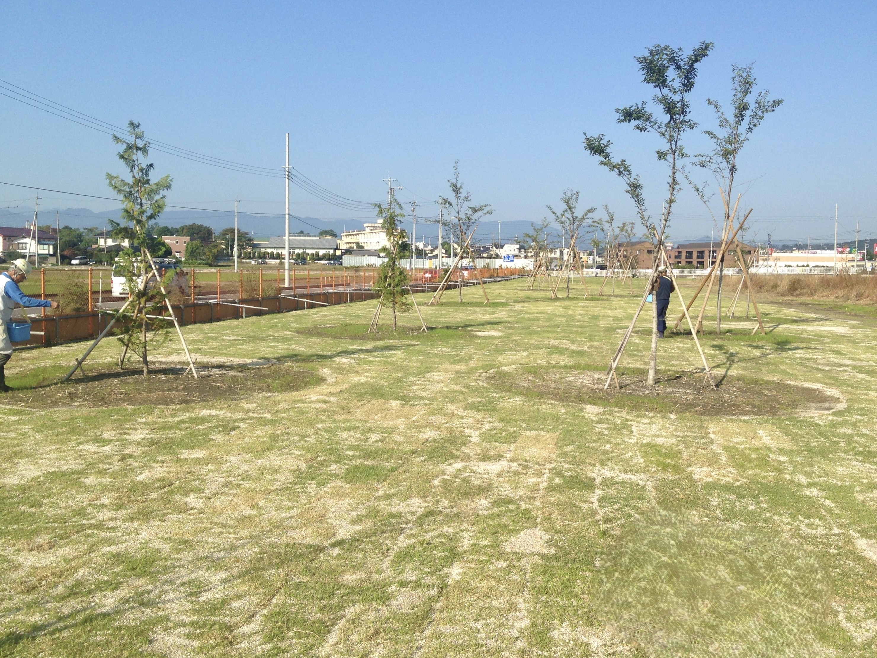 植栽芝張工事 埼玉県坂戸市